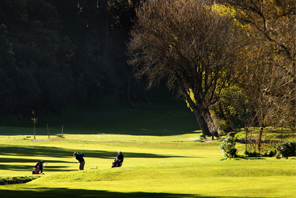 Tee Buraco 16